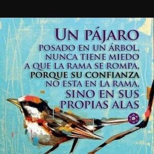 Meet your Posher, Salud